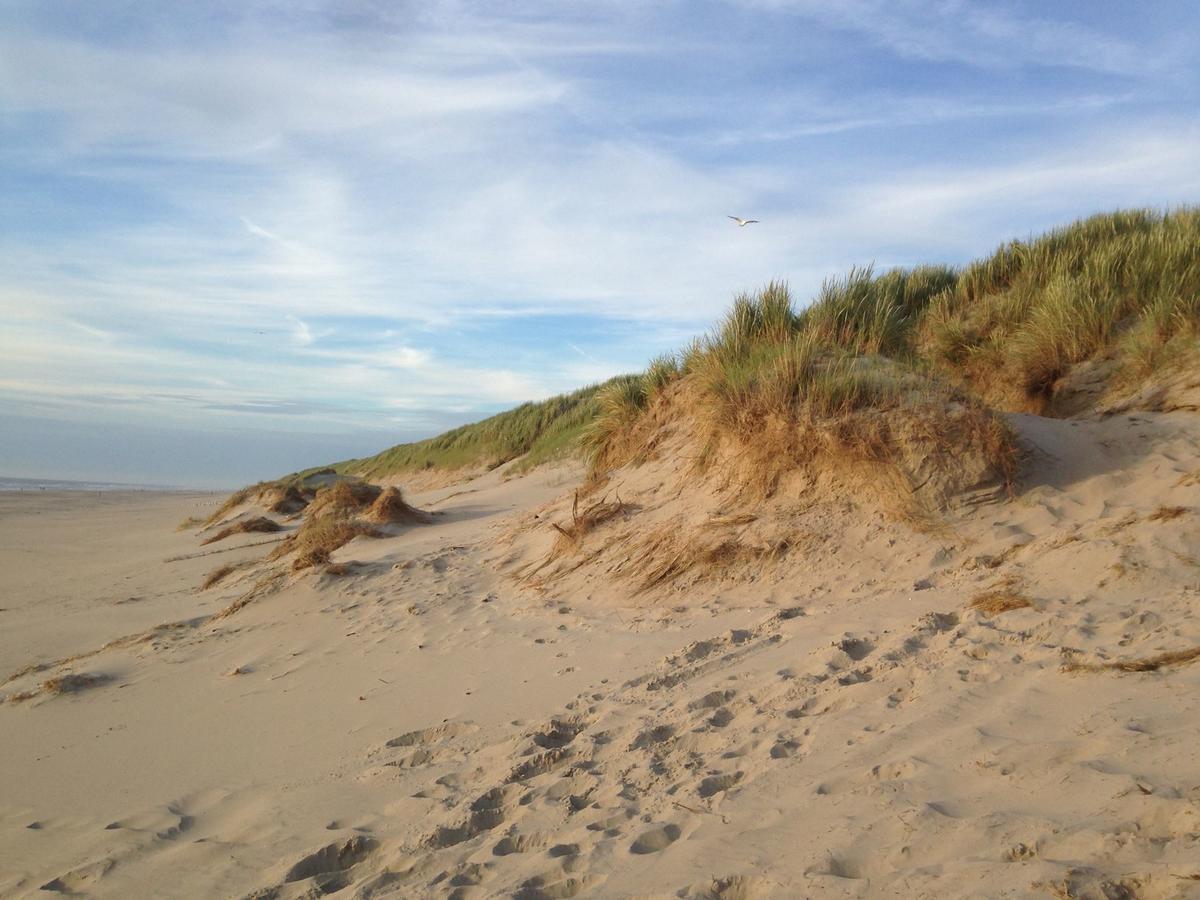 Beachhouses Texel De Koog Kültér fotó